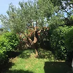 In Der Ersten Etage Mit Meerblick By Interhome Splitska