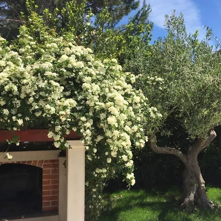 In Der Ersten Etage Mit Meerblick By Interhome * ספליטסקה